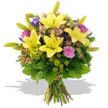 Elegant Surprise
